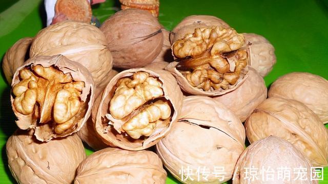 核桃|最佳补脑食物名单,别只知道吃核桃,这3种食物是天然“脑黄金”