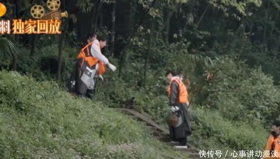 中年人 耿直男孩儿张艺兴!看了他和杨紫的互动,知道他为何单身了