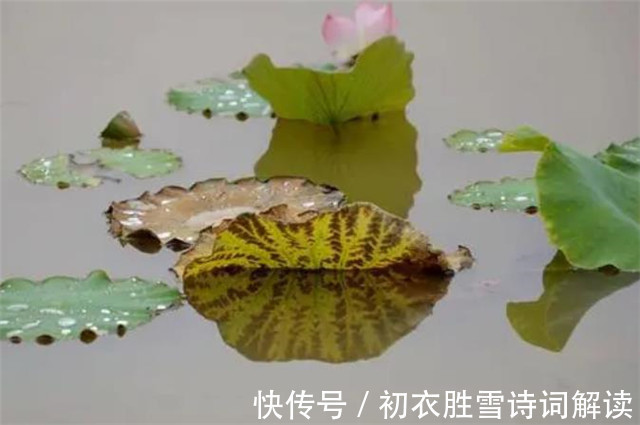 秋思|秋思古诗六首:洛阳城里见秋风,夜来秋气满人间