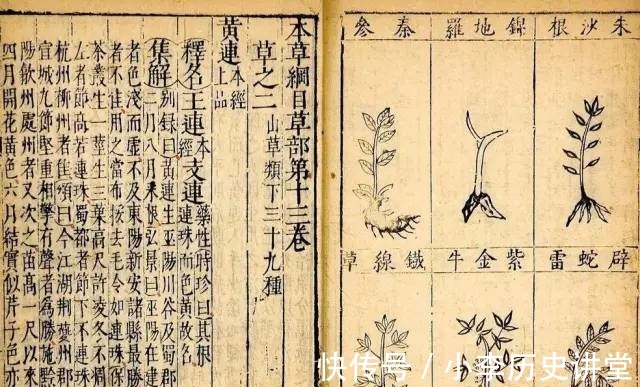 药方|《本草纲目》那些令人细思极恐的药方,没看过你绝对想象不到!