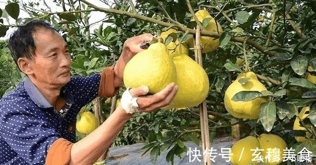 疾病|它是天然“阿司匹林”睡前吃两口,血管干净,血栓“躲着走”