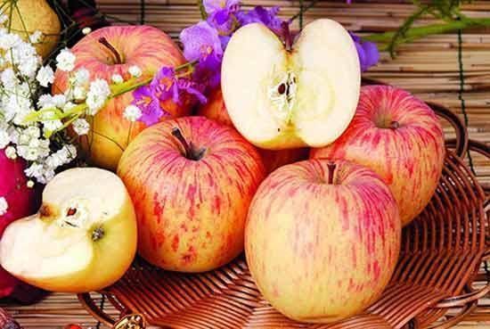 营养物质|晚上吃苹果胜似吃砒霜 听听营养专家给出的回答!