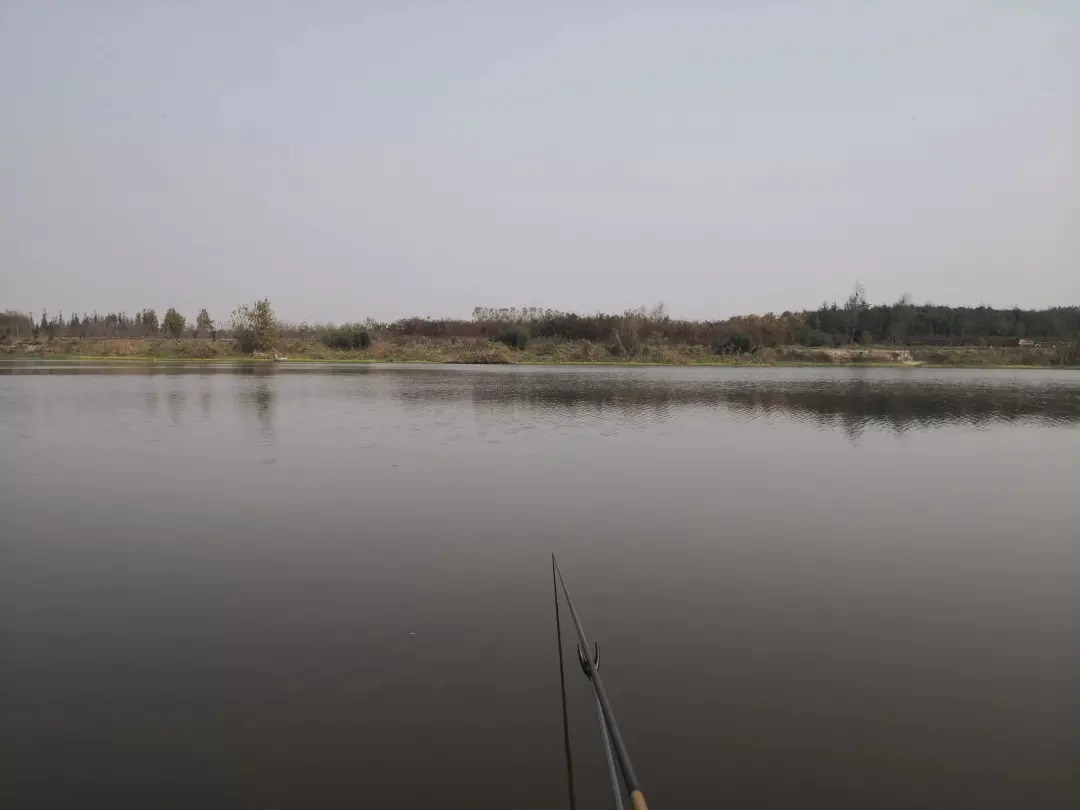 冬钓鲫鱼的“三大注意”,能做到就能保证基本的鱼获