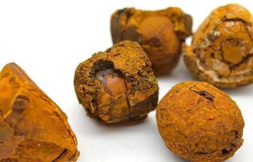  取自|除了点翠外，历史上还有哪些取自动物的珍宝？