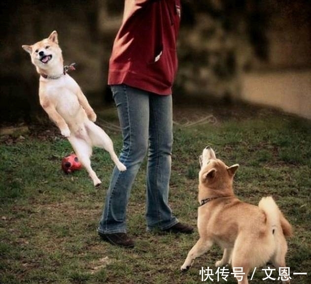 |搞笑图片幽默段子笑话:哈哈哈,妹子你的头发也太长了吧