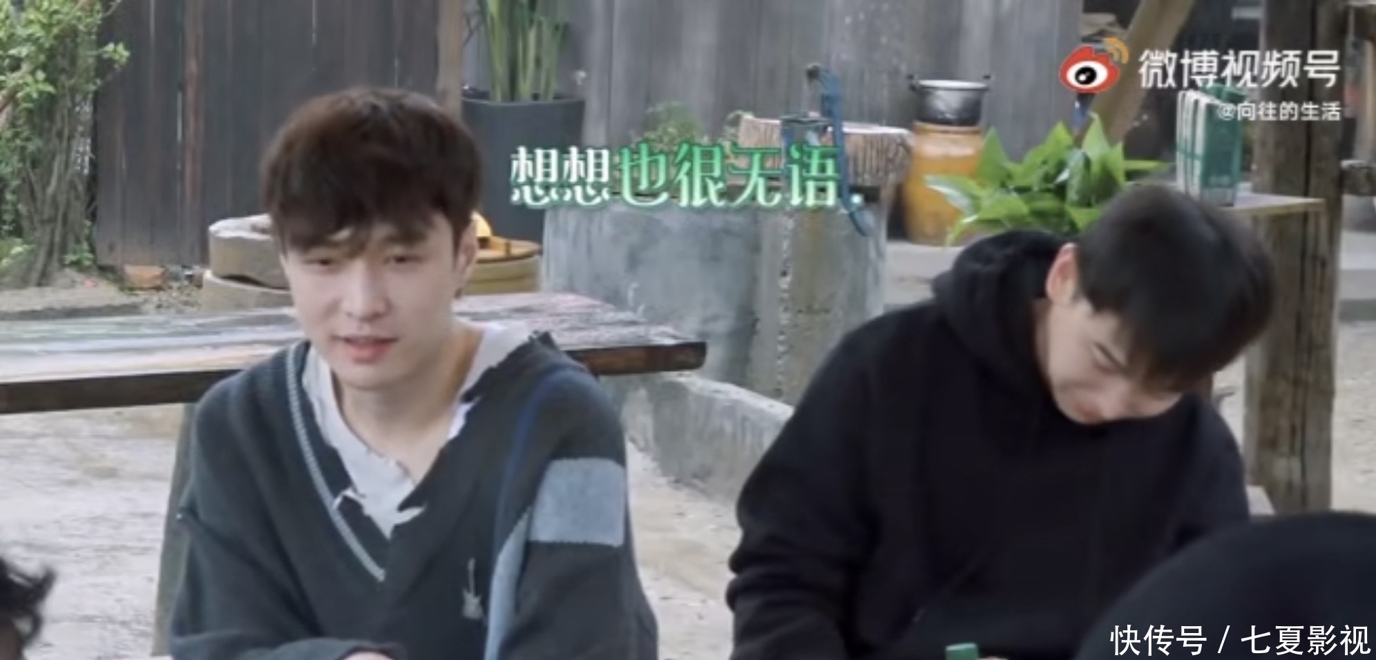 杨紫 向往5:杨紫专场收视高播放量却本季最低,不怪杨紫,原因在他们