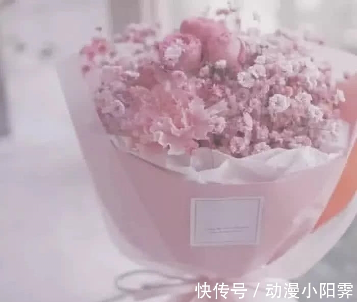 壁纸|最近火了“鱼塘”壁纸：我想要住进你心里，但是个小区
