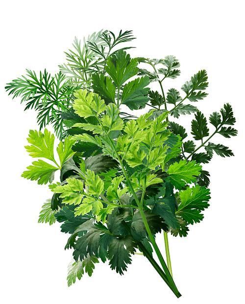 4種食物雖然“很臭”，但營養(yǎng)價(jià)值很高，對(duì)身體有好處，了解一下