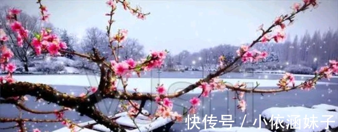 雪银！征联：梅骨几何？雪银十万芳心动，征对下联，并上期应征对联欣赏