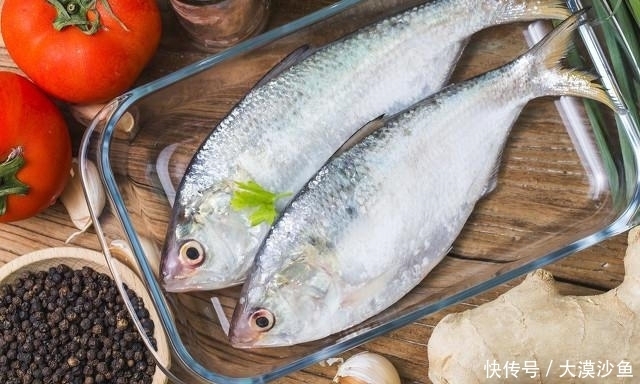 烹饪|6种湖河海鲜,简单烹饪即可尝鲜,你可能全听过,但不一定全吃过