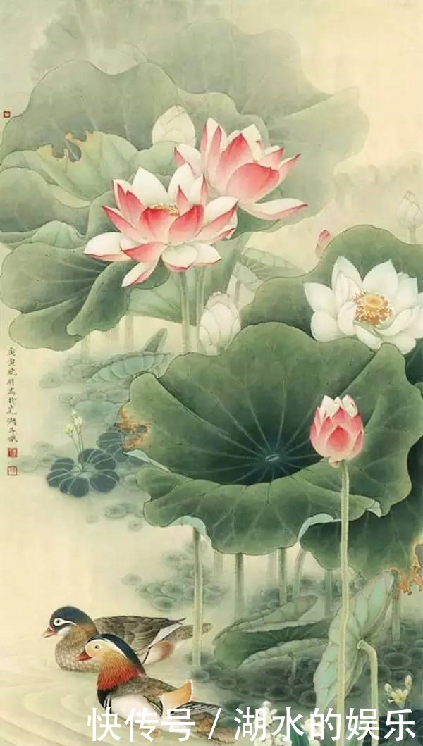 好漂亮的鸳鸯戏水图:祝愿天下有情人!