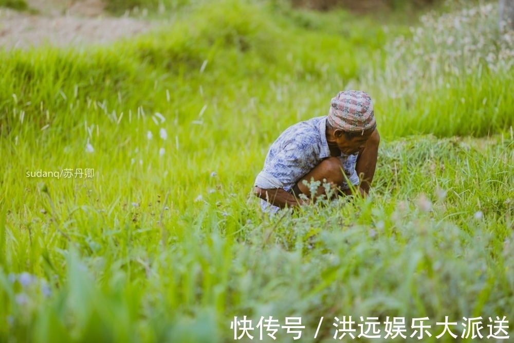 野生动物|尼泊尔最冒险的世界遗产奇特旺国家公园，村民与猛兽相伴