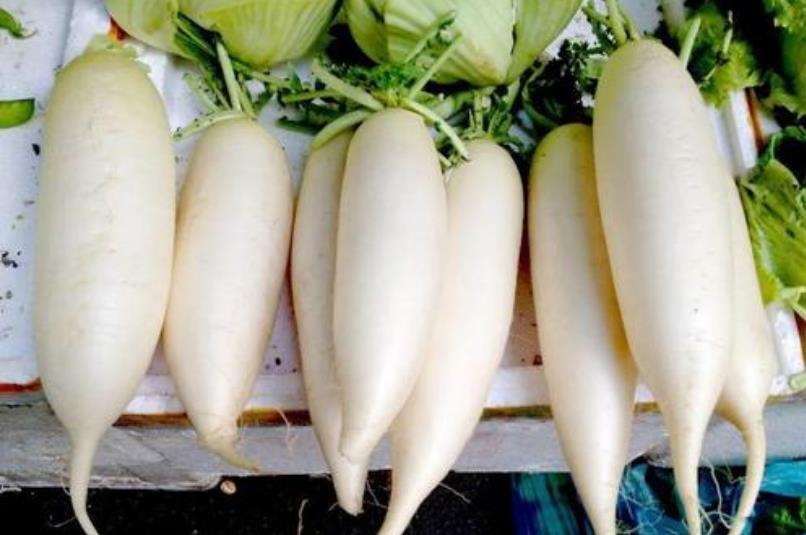 山药|立秋后，多给家人吃“5白”，补气润肺，身体不闹毛病