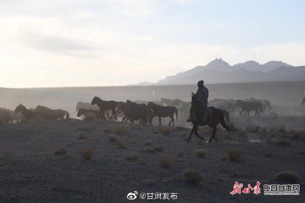 骏马|酒泉市阿克塞哈尔腾牧场马匹转场