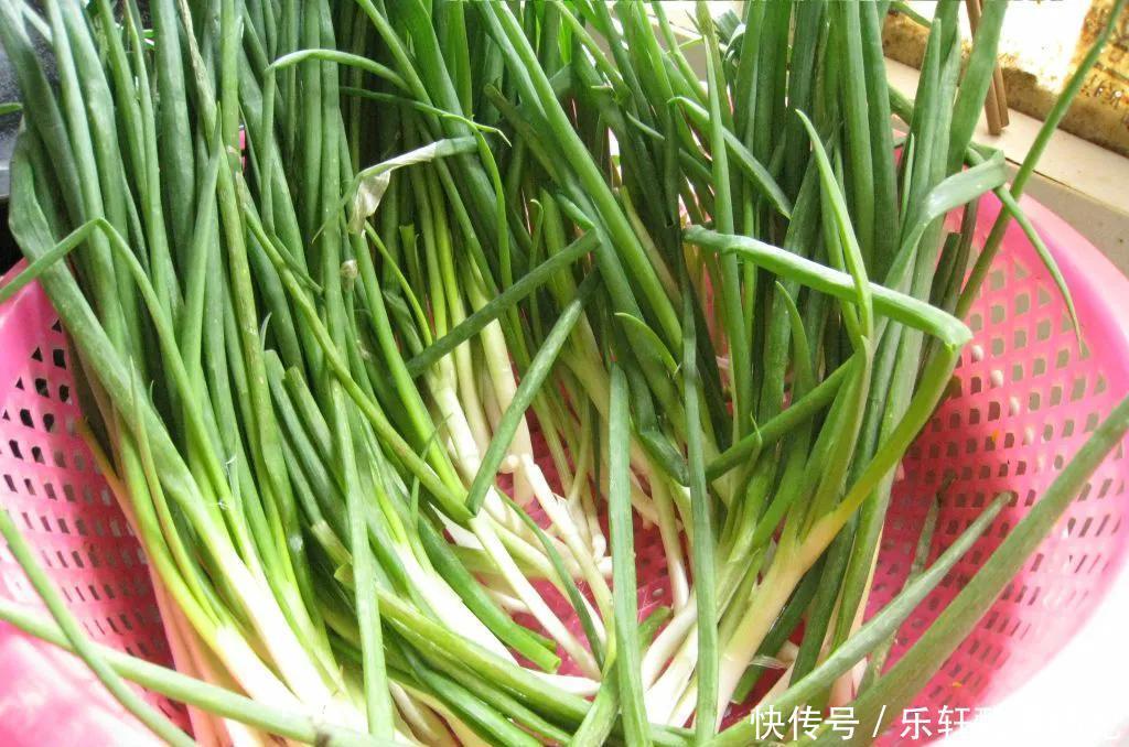 它被誉为“天然的青霉素”,隔三差五吃一次,大人小孩少生病!