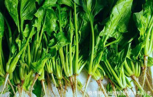 圆白菜|4类食物比较伤胃,冬季养胃,避免4个行为,不妨了解一下