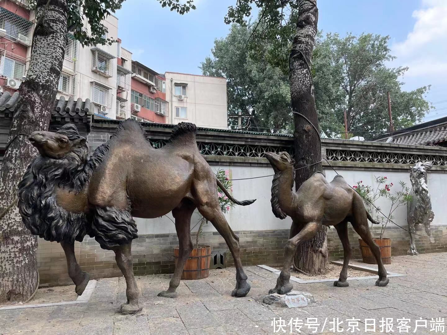 京西古道|京西古道龙王庙广场即将亮相，骆驼雕塑、驼铃灯再现“驼铃声声”