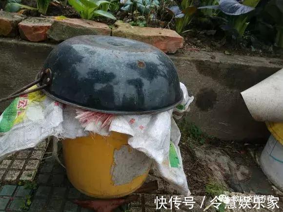 这2种“壳”丢了太可惜，埋花土里3年不板结，种什么花都旺！