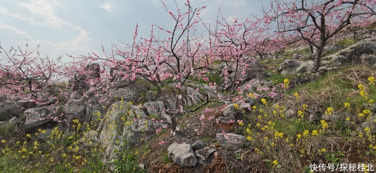 广西灌阳县旅游名村文市镇月岭村旅游观光精华介绍记