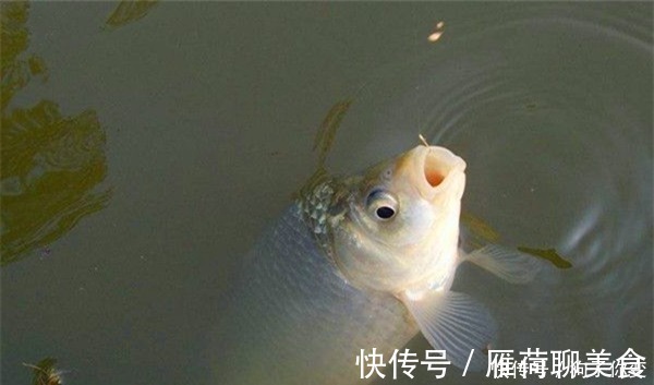 冬季钓鲫鱼,不要一味钓远,经验告诉你,这些位置钓近就能上鱼!