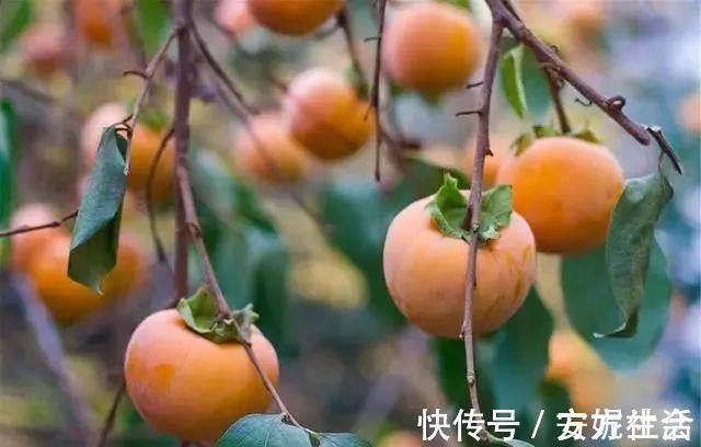 女性|子宫“不喜欢”哪些水果?爱吃的女人,趁早在饮食清单中划掉