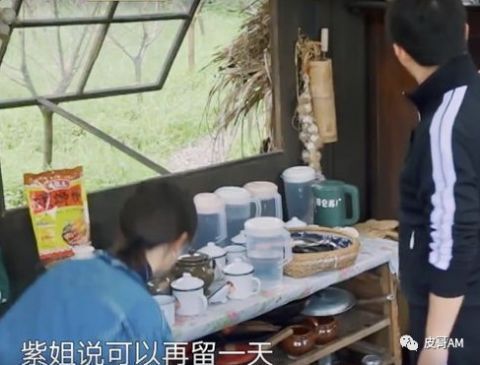 杜华|杨紫与张艺兴也太甜了吧!他们会在一起吗?