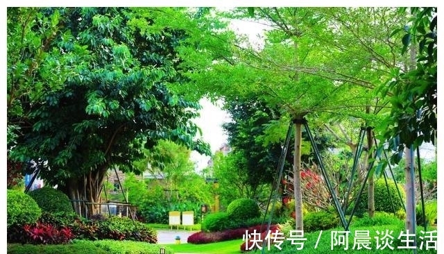 中国文旅|全面交楼业态火爆！浪漫海居生活范本还看恒大地产海南海景海花岛