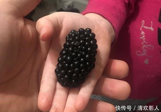 吃牡蛎吃出珍珠!专属于吃货的幸运时刻!