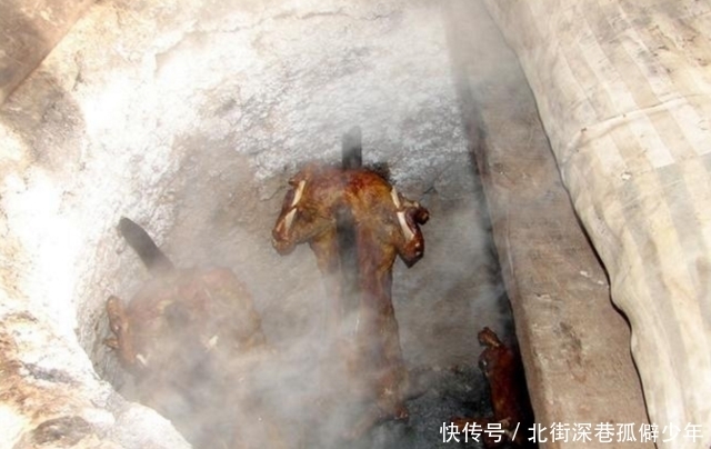 烤全羊|男子卖烤全羊1800块钱一份,听着贵,走进一看却都想吃