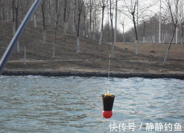 冬钓时,打窝也没口?那是你方法不对,按我说的做,鱼获翻倍