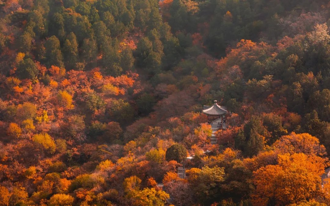 太湖|全国最好吃的赏枫胜地，看看有没有你家乡的