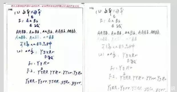 中国|一位考745分清华学霸，给中国家长的10大忠告