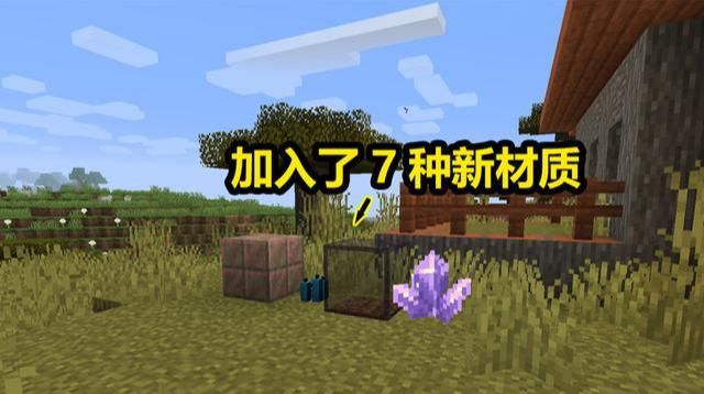 新加入|我的世界：快照版本终于上线，基岩版玩家羡慕，加入了7种新材质