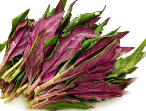 膳食纤维|女性永远青春，推荐多吃三种食物，保护血管、美味健康