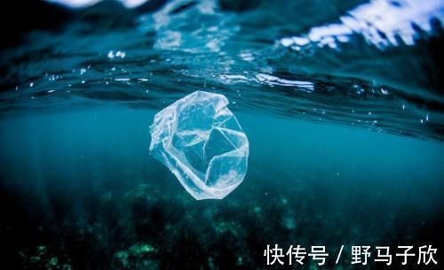 塑料袋|强制执行限塑令，大批商户有苦难言，有人发现了其中“商机”