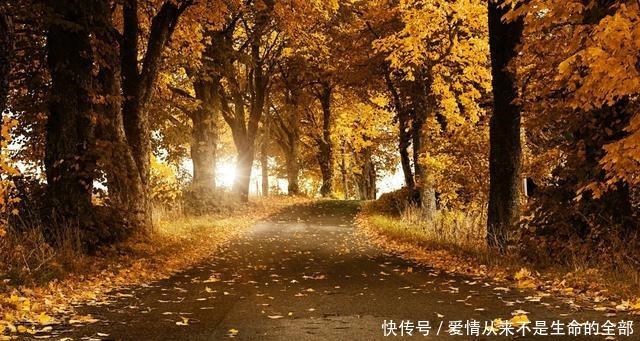 “生如夏花之绚烂,死如秋叶之静美”的下一句是什么它才是重点