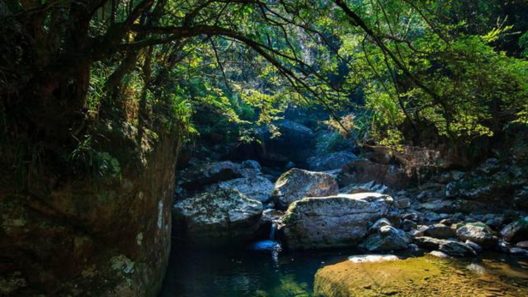 王安石这首诗写得很美,也是达到了诗中有画,画中有诗的境界