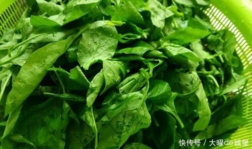 氨基酸|農(nóng)村不起眼的野菜,食療功效強(qiáng)大,養(yǎng)肝明目,降血壓,好處多多