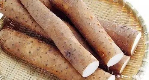 枸杞山药粥|补脾最厉害的食物！全面启动脾胃功能，增强免疫力，孕妇也可以吃！