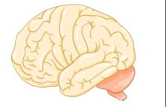 患儿|【天使医案】6岁矮小患儿来天使治疗后增高了7.5㎝!