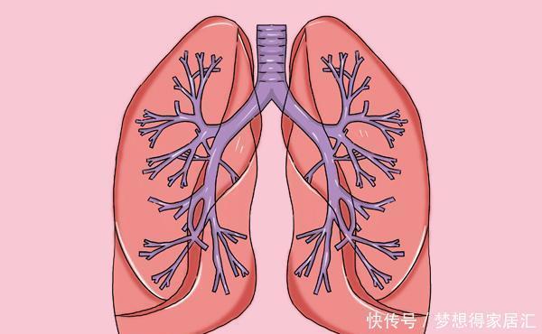 好不好|肺好不好,身体3个地方容易“露陷”,哪怕有一个,也不能马虎