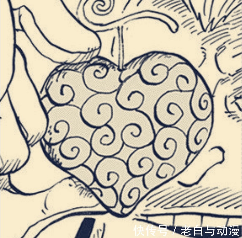 觉醒|海贼王1037话:WT开始挖坑,几百年没觉醒的果实会是哪颗?