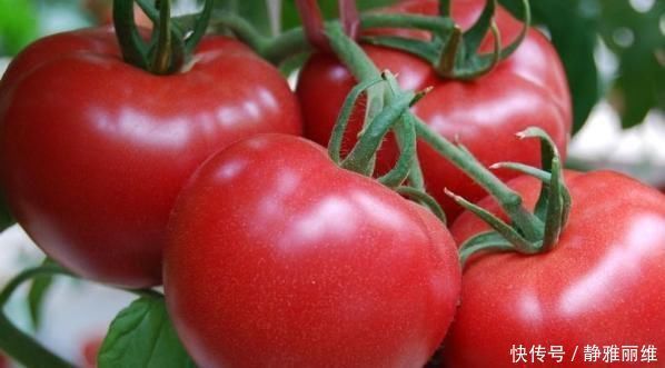 西红柿|西红柿加1物一起吃,每天喝1杯,疏通血管,皮肤更嫩白!