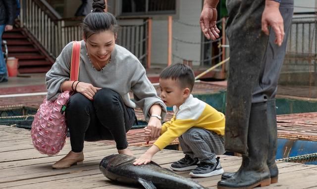 喜欢|从孩子喜欢的颜色判断孩子的性格,爱这种颜色,多半没有安全感