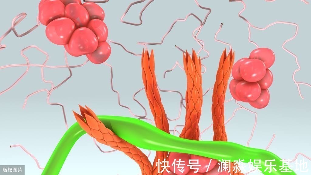 软化血管|1种粗粮，是降甘油三酯“高手”，捣碎泡水喝，通血管、血脂降了