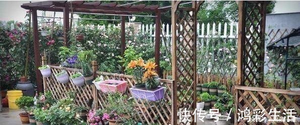 泳池|晒我的农村别墅,有花园有“泳池”,朋友都说堪比“世外桃源”!