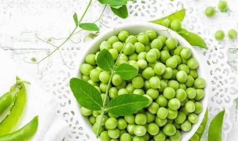 植物蛋白|血管不堵命长寿,血管一堵百病缠!农村常见1种豆,清光血管垃圾