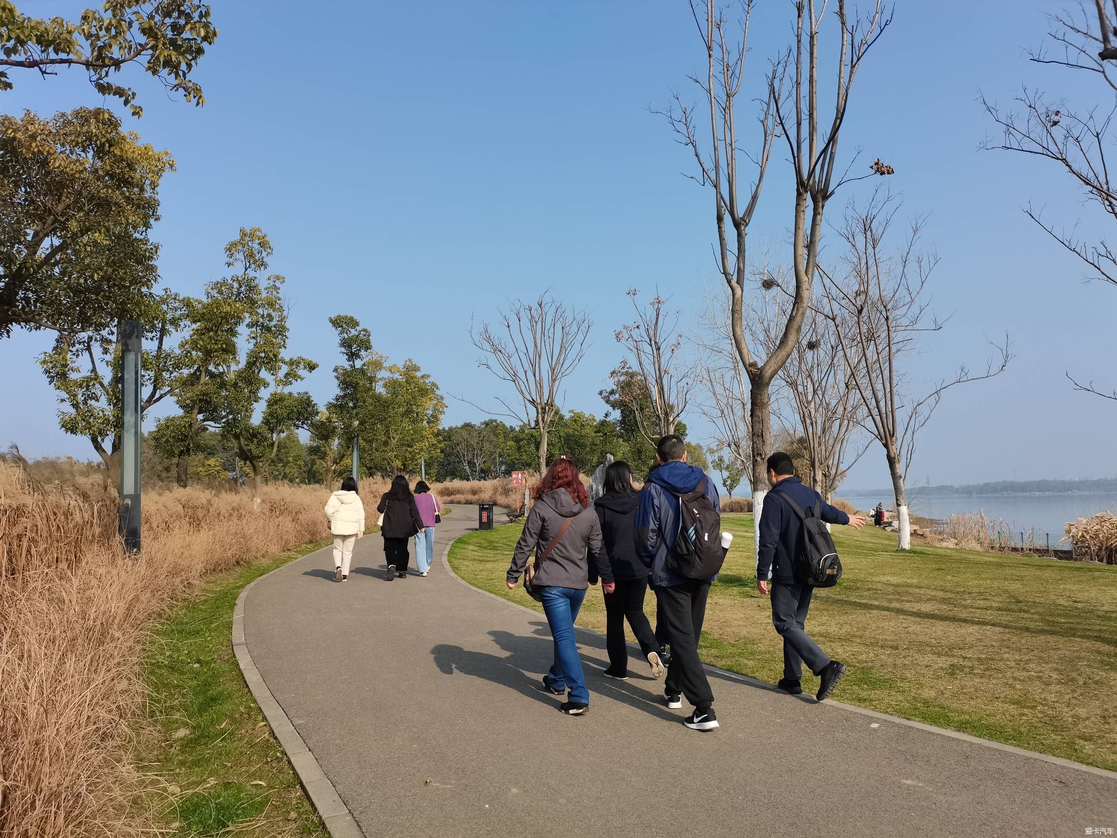 情人节逛森林公园