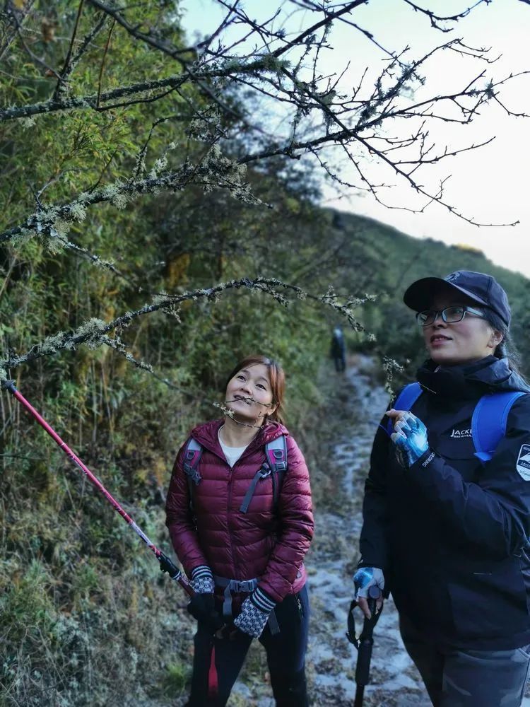 男女|一群在东川牯牛山撒野的男女