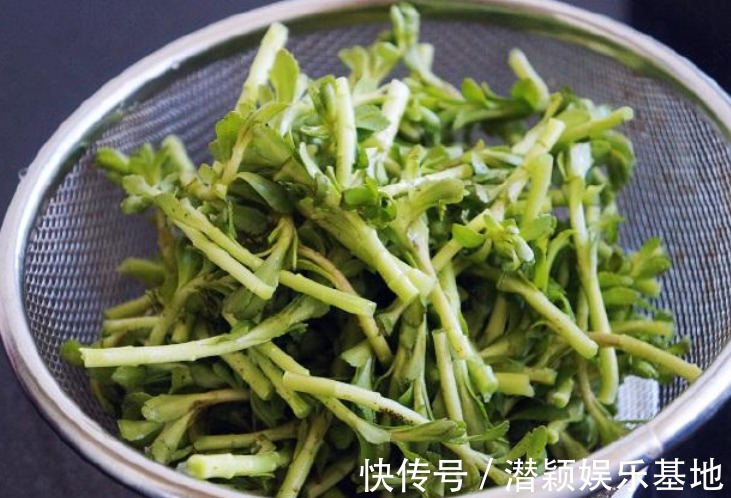 救心菜|农村一种野菜被称为救心菜，现在亩产2万斤，每亩年纯收入3万元